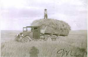 Gram on the hay wagon